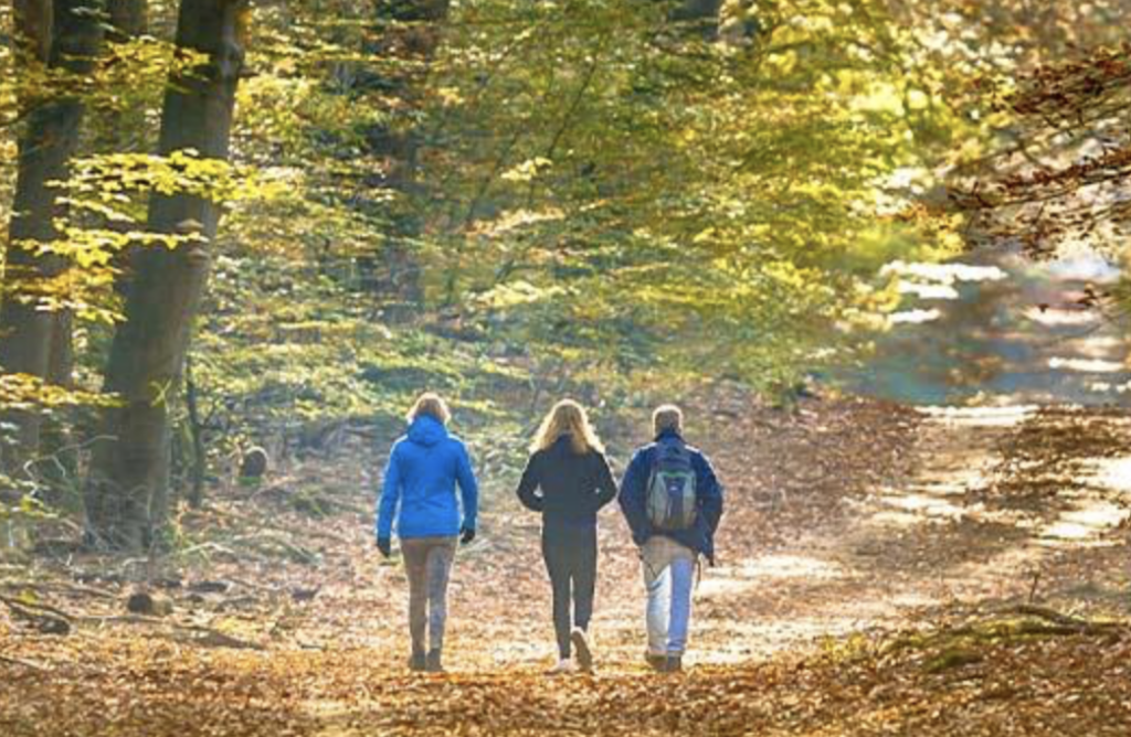 Rebecca Strudley - Sponsored Walk Success for Topic of Cancer